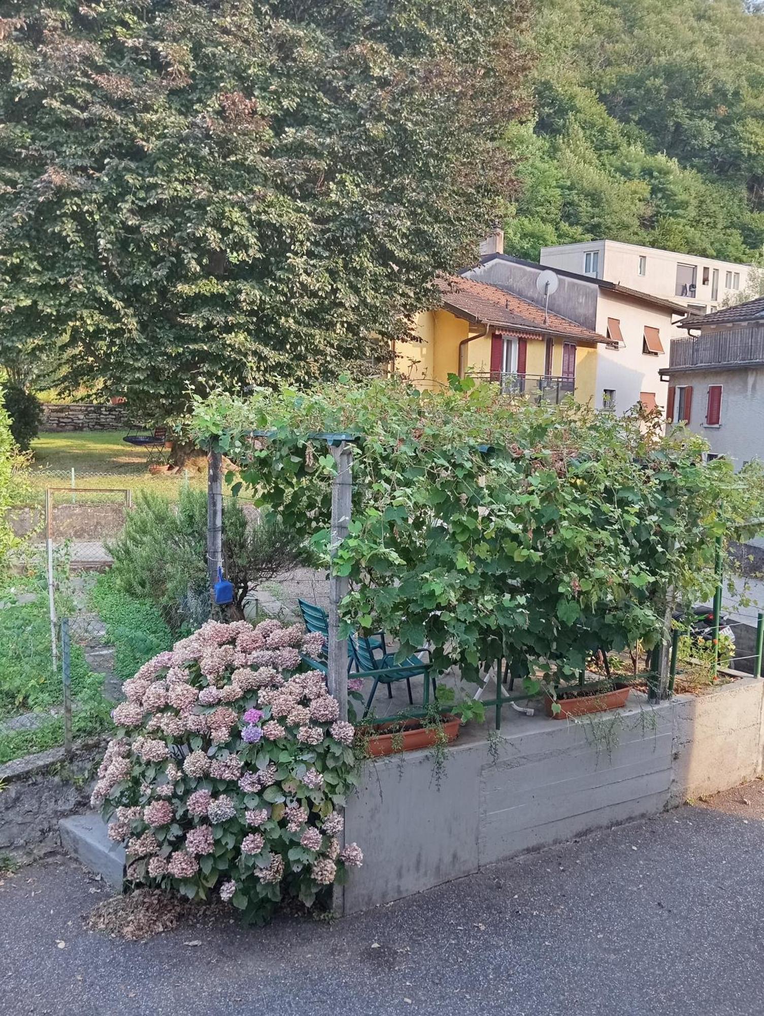 Minicasa Villa Белинцона Екстериор снимка